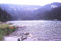 6125b Plešné jezero II. 