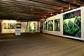 Egon Schiele Art Centrum 