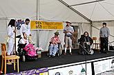 Den s handicapem - Den bez bariér 2009 ve fotografiích 